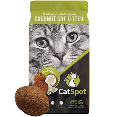 Cat Litter Alternatives