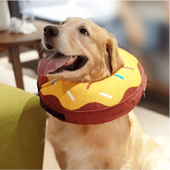 Dog Cones Alternatives