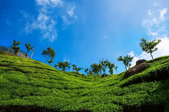 Best Tourist Places in South India