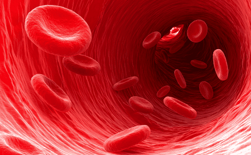 Blood Functions and Disorders
