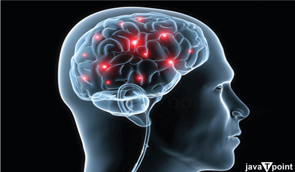 Brain Fever Symptoms
