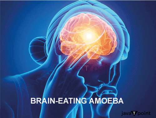 Brains Eating Amoeba