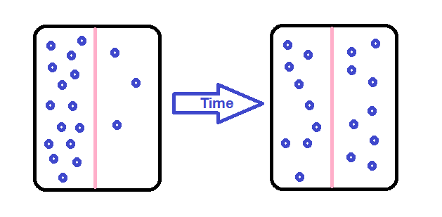 Passive Transport Javatpoint