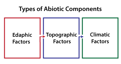 Abiotic Components of Ecosystem