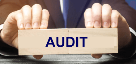 Advantages and Disadvantages of Audit