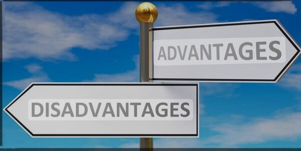 Advantages and Disadvantages of Business