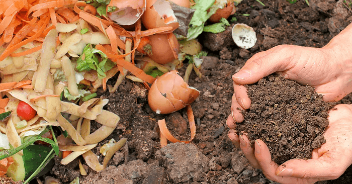 Advantages and Disadvantages of Composting