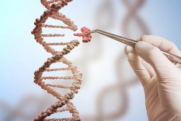 Advantages and Disadvantages of Genetic Engineering - Javatpoint