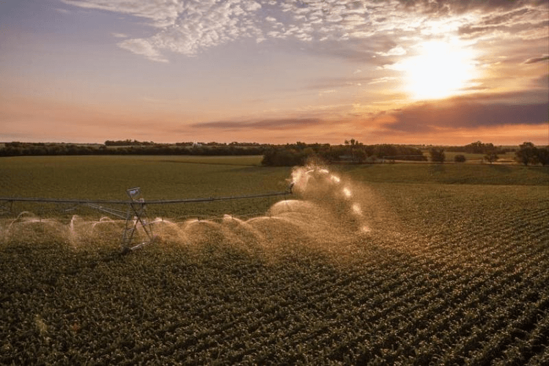 Advantages and Disadvantages of Irrigation