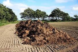 Advantages and Disadvantages of Manure