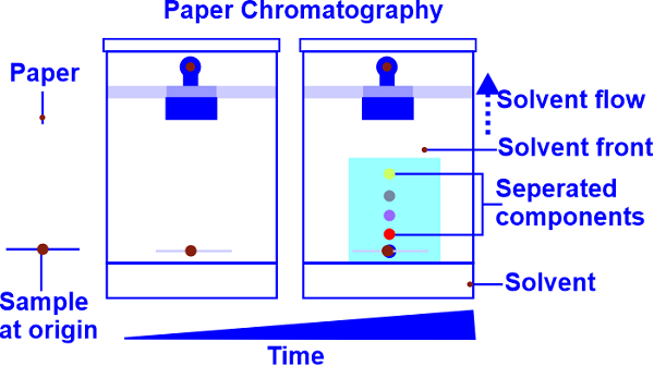 Advantages and Disadvantages of Paper Chromatography