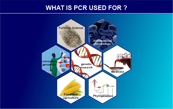 Advantages and Disadvantages of PCR