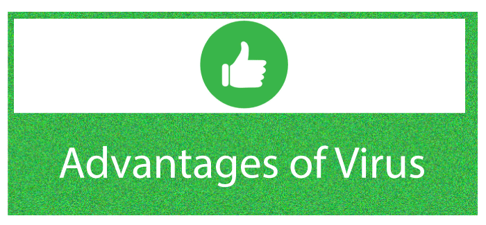 Advantages and Disadvantages of Virus