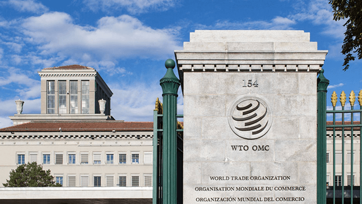 Advantages and Disadvantages of WTO