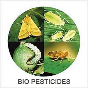 Advantages and Disadvantages of Biopesticides