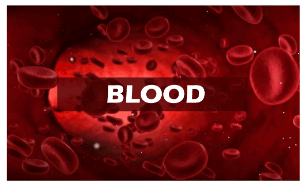 Blood Group Types