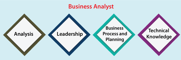What is a Business Analyst