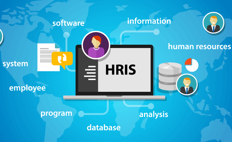 What is MIS (Management Information System)?