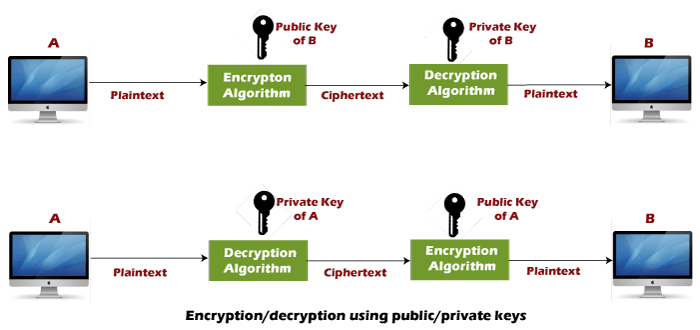 RSA Encryption Algorithm