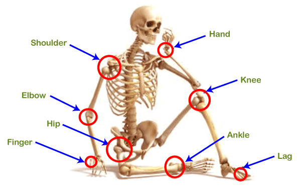 Types of Joints