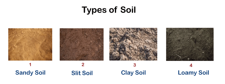 Different Types Of Soil With Images