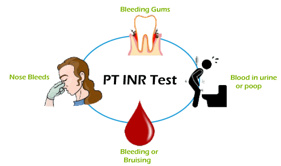 What Is INR Javatpoint