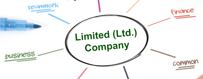 Limited Company (LC)