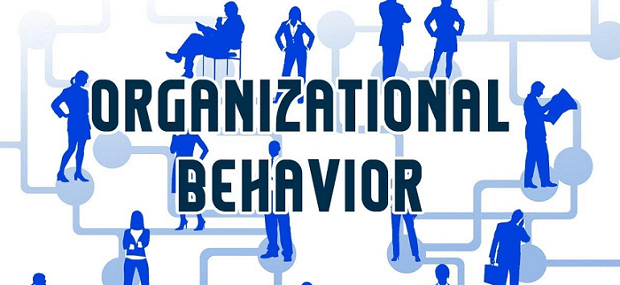 What is Organisational Behaviour (OB) and Why is it important