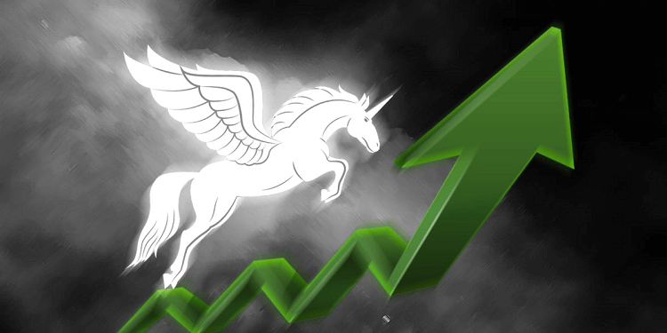 Unicorn: What It Means in Investing, With Examples