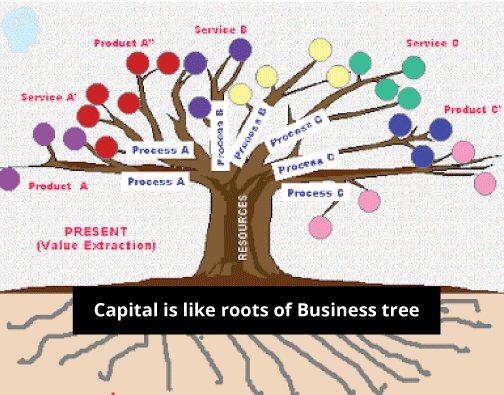 Capital Meaning In Accounting Javatpoint