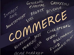 WHAT IS COMMERCE