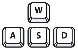 What are WASD keys