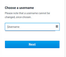 What is a Username