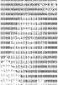 What is ASCII Art