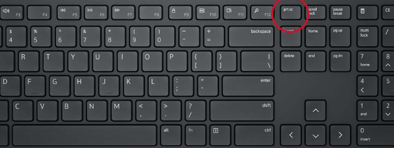 What Keyboard Key Can You Press to Print?