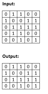 Display Unique Rows in a Binary Matrix in Java