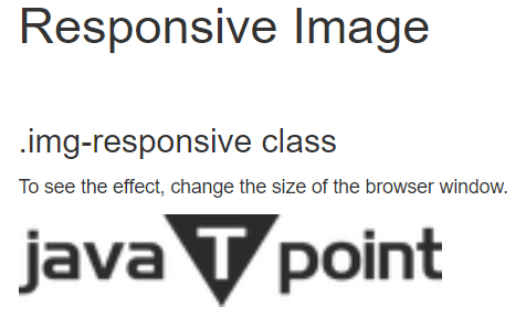 Responsive Images in Bootstrap with Examples