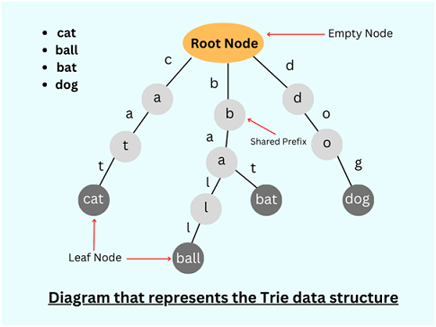 Suffix Tree Data Structure