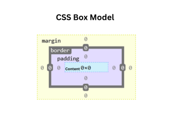 CSS Border Box