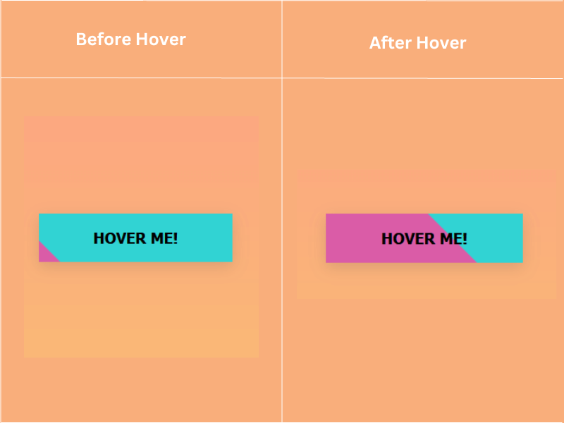 CSS Button Hover Effects