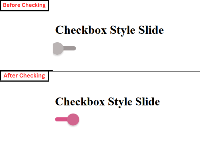 CSS checkbox style