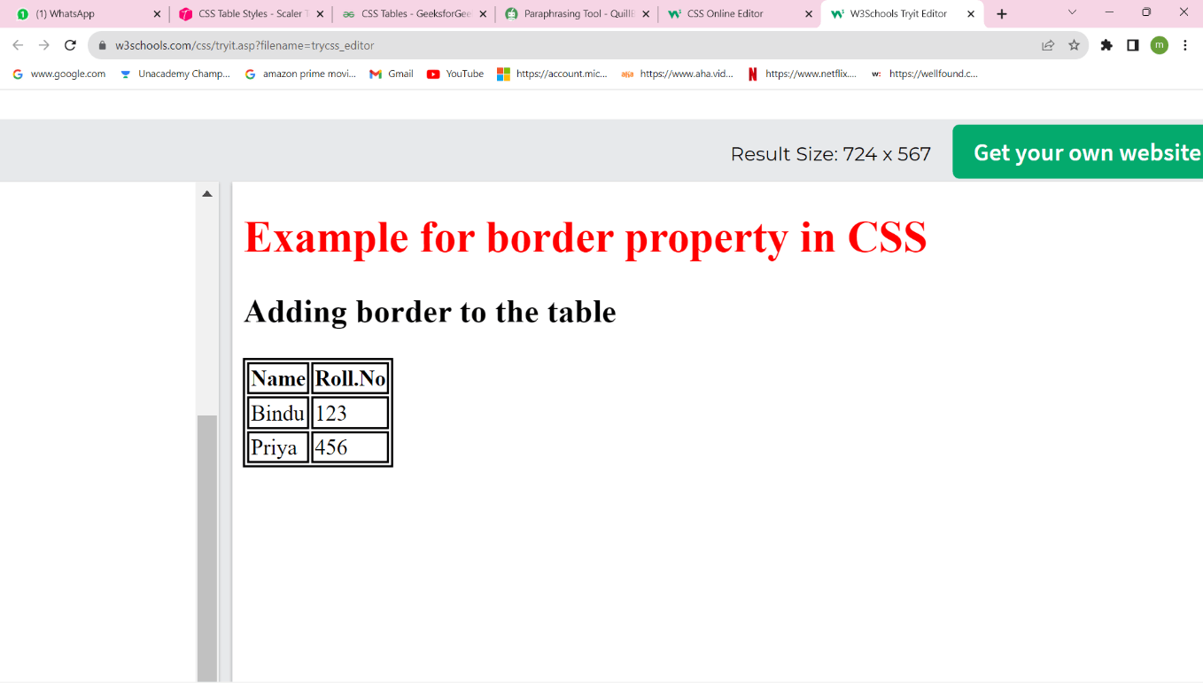 CSS Table Style