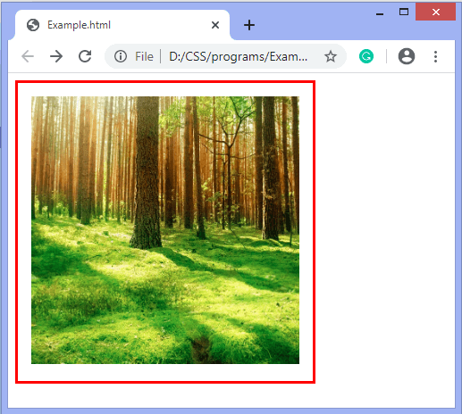 How To Reduce Size Of Image In Css