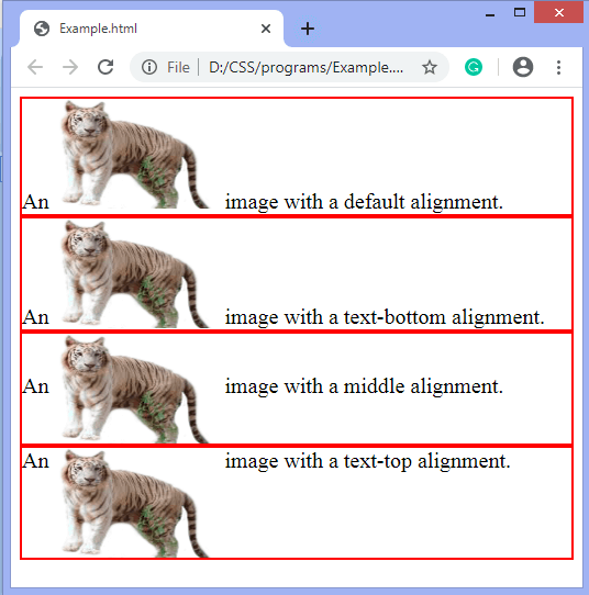 How to vertically align text with CSS - javatpoint