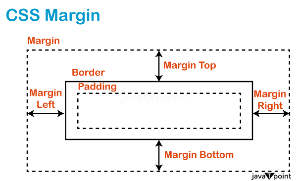 Margin and Padding in CSS