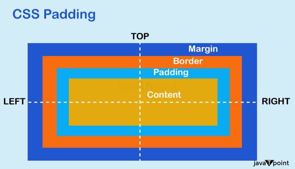 Margin and Padding in CSS