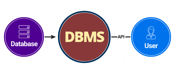 features of dbms