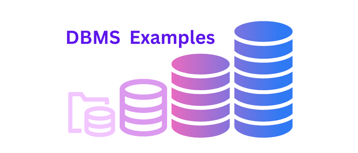 DBMS Examples