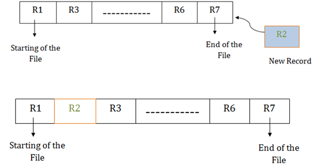 DBMS Sequential File Organization