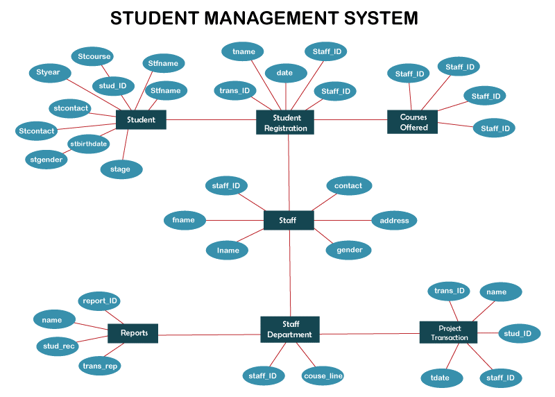 ER Diagram for Student Management System